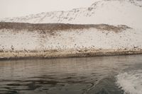 
DSC00092